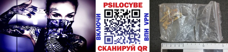 Псилоцибиновые грибы GOLDEN TEACHER  Мичуринск 